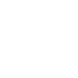 Disability Owned Business