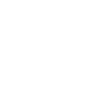 Telly Award