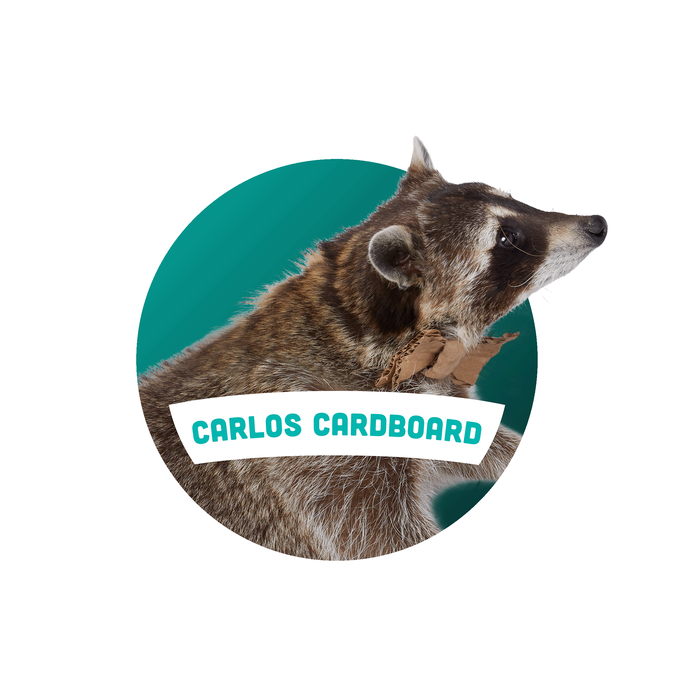 Carlos Cardboard