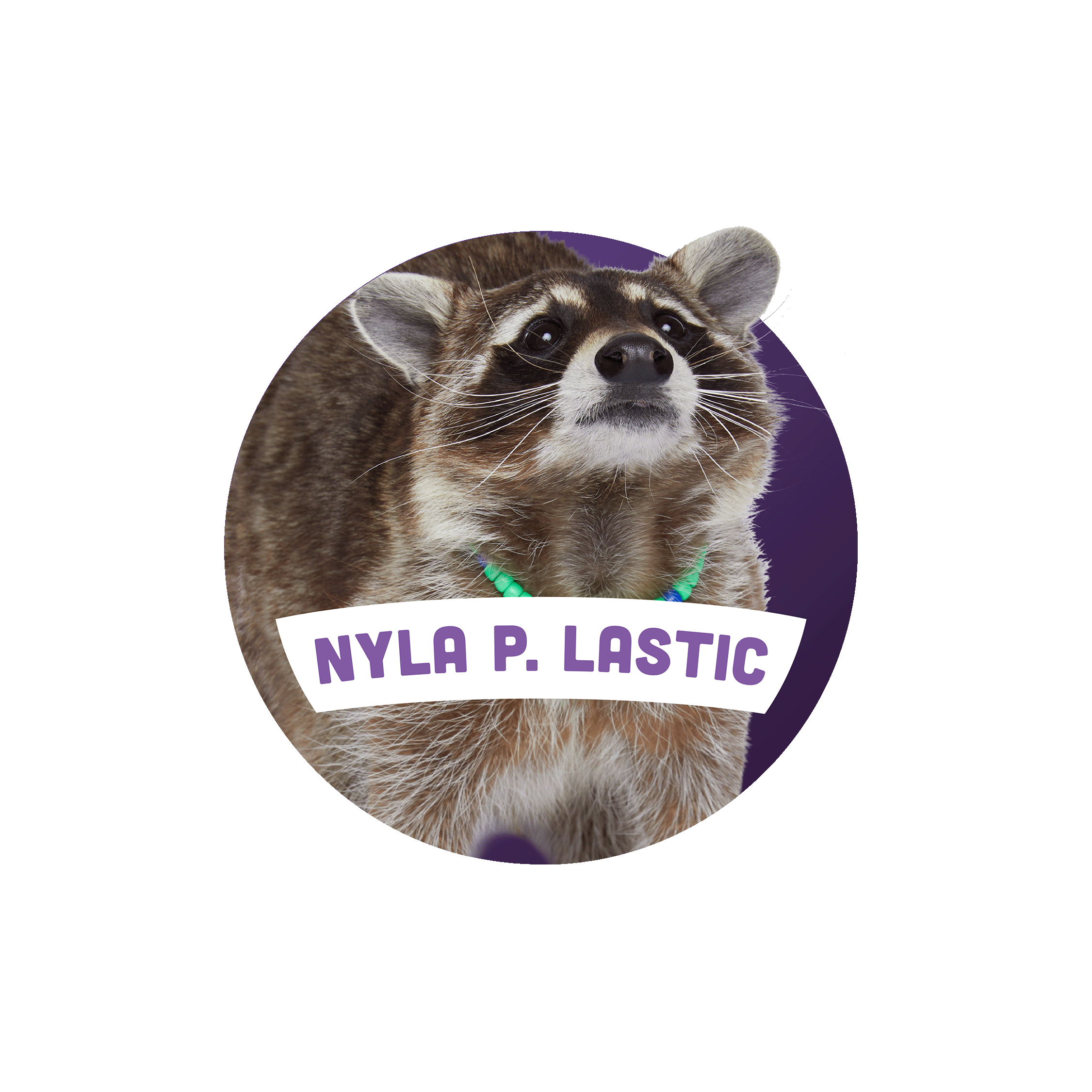 Nyla P. Lastic